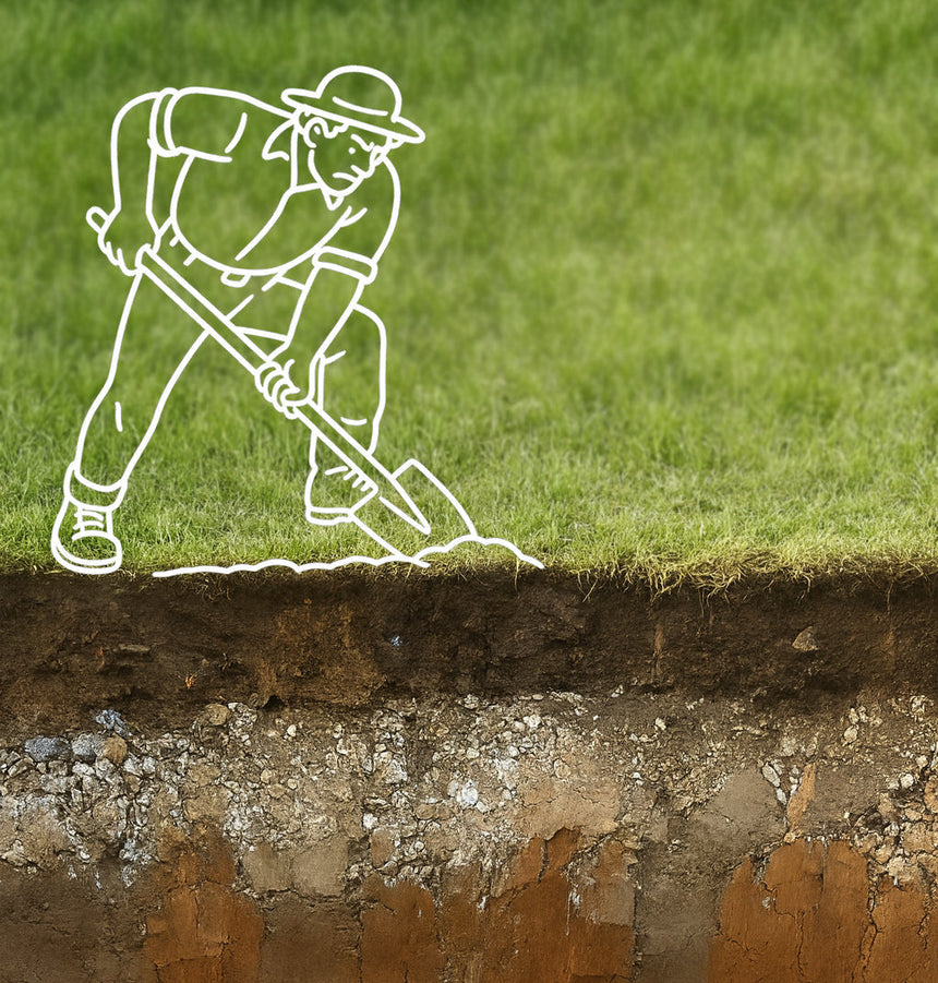 Gardening with Clay Soil in Northland