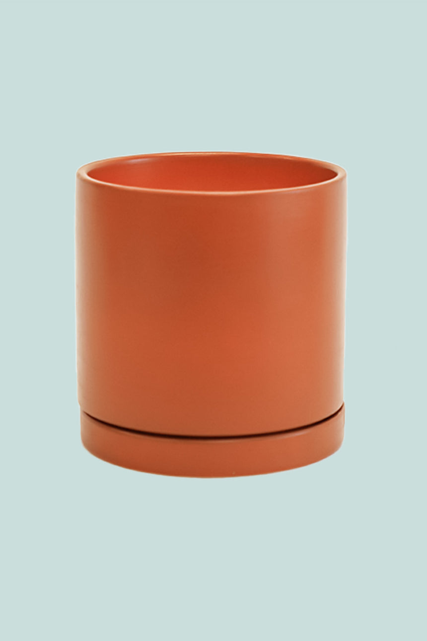 17cm Haus Planter Range - Fits Small Plants - 5 Colours
