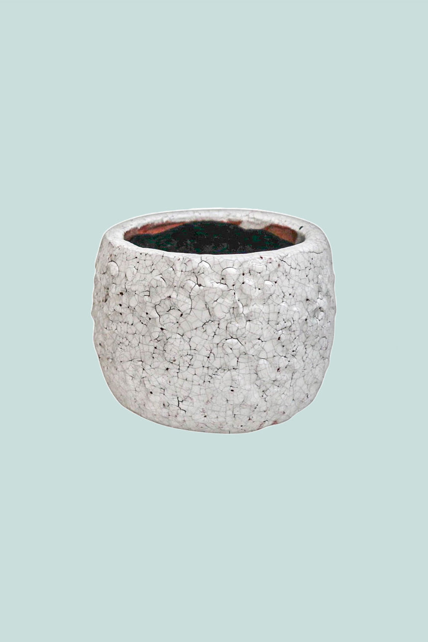 Coral Glazed Pot Range - 2 Sizes