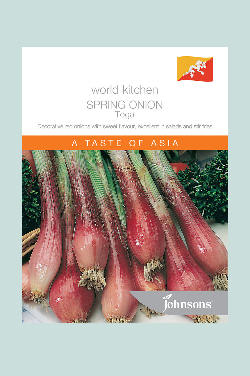 Spring Onion - Toga - 275 Seeds