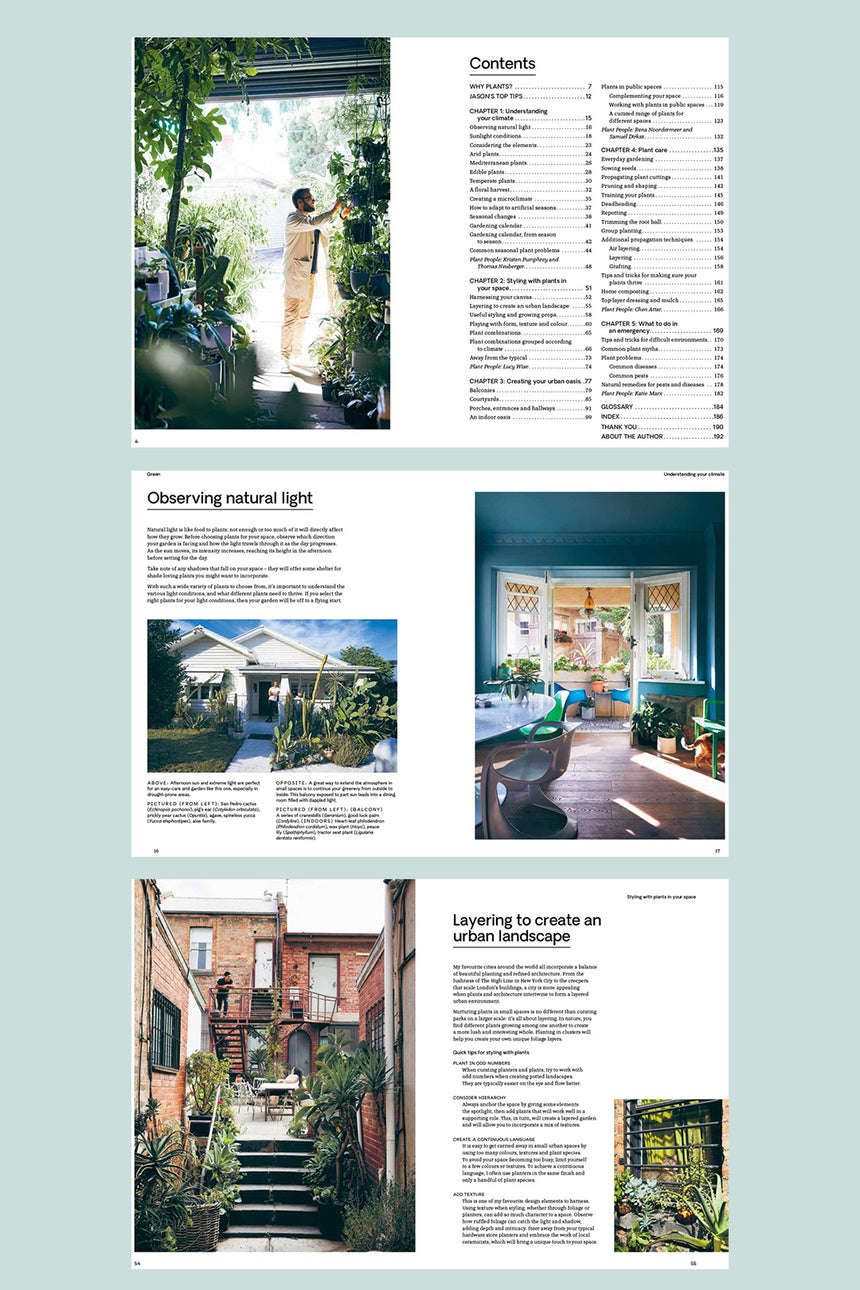 Green: Plants for Small Spaces, Indoors and Out by Jason Chongue