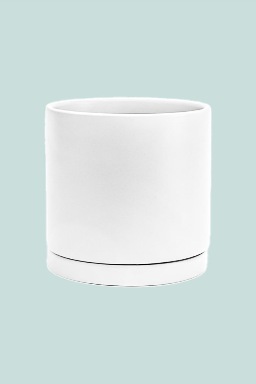 17cm Haus Planter Range - Fits Small Plants - 5 Colours