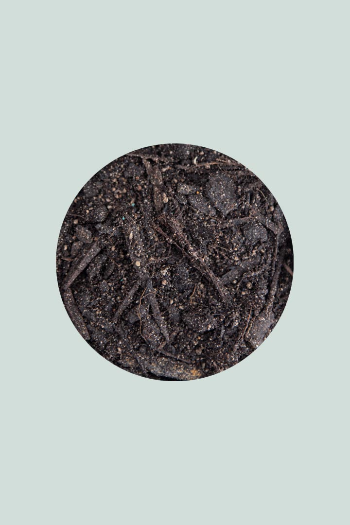 All-Purpose Houseplant Potting Mix - 5 Litre Bag