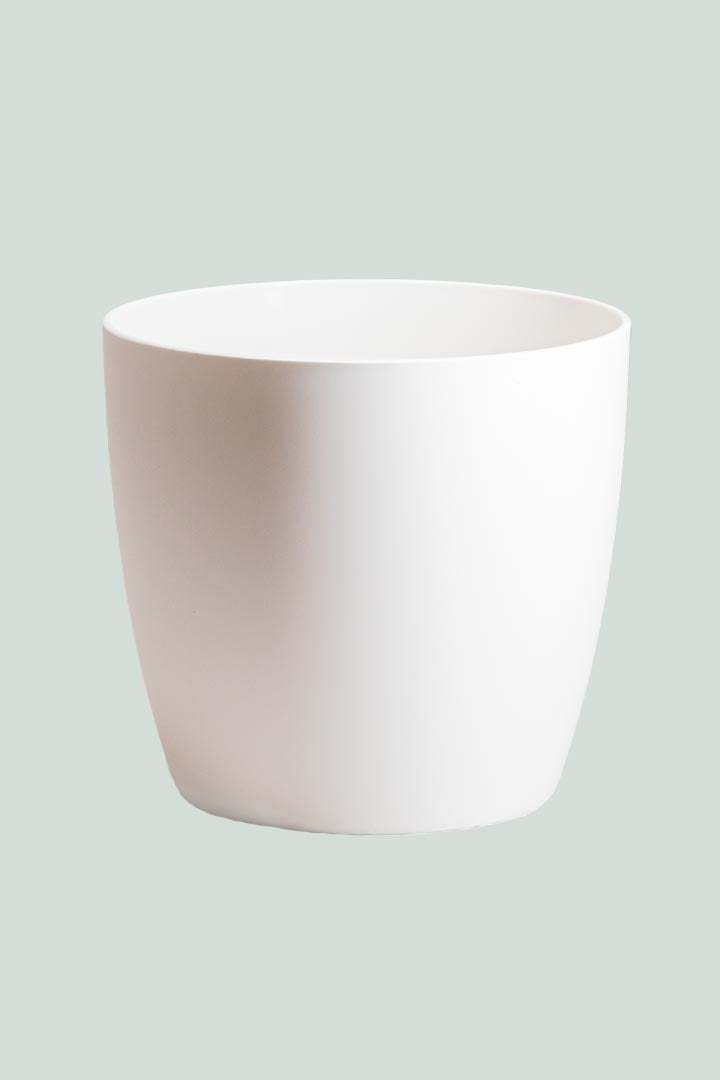 'Brussels' 16cm Cover Pot Range - 2 Colours