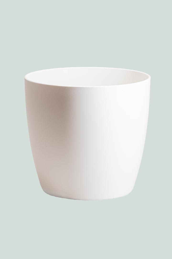 'Brussels' 18cm Cover Pot Range - 2 Colours