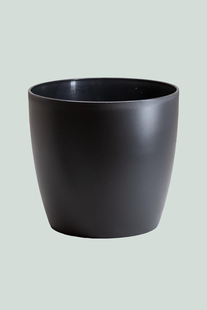 'Brussels' 16cm Cover Pot Range - 2 Colours
