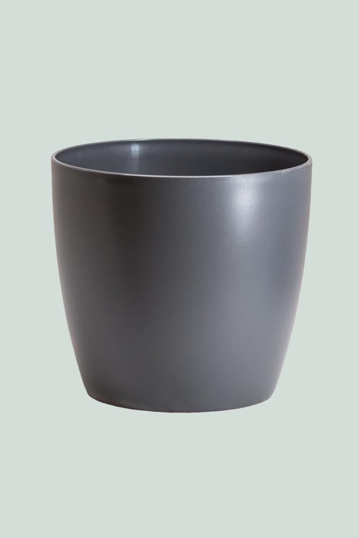 'Brussels' 16cm Cover Pot Range - 2 Colours