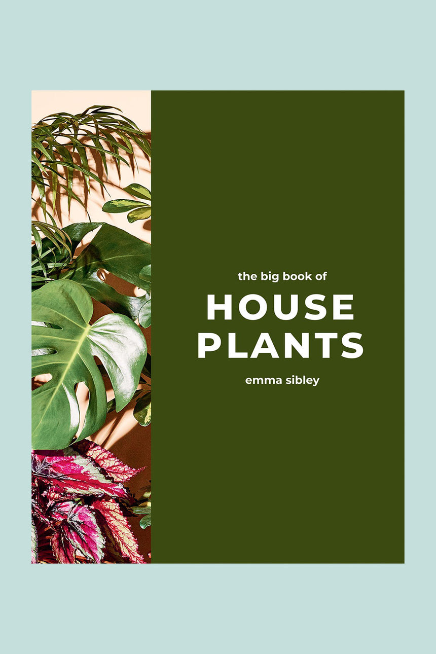 The Big Book of House Plants by Emma Sibley