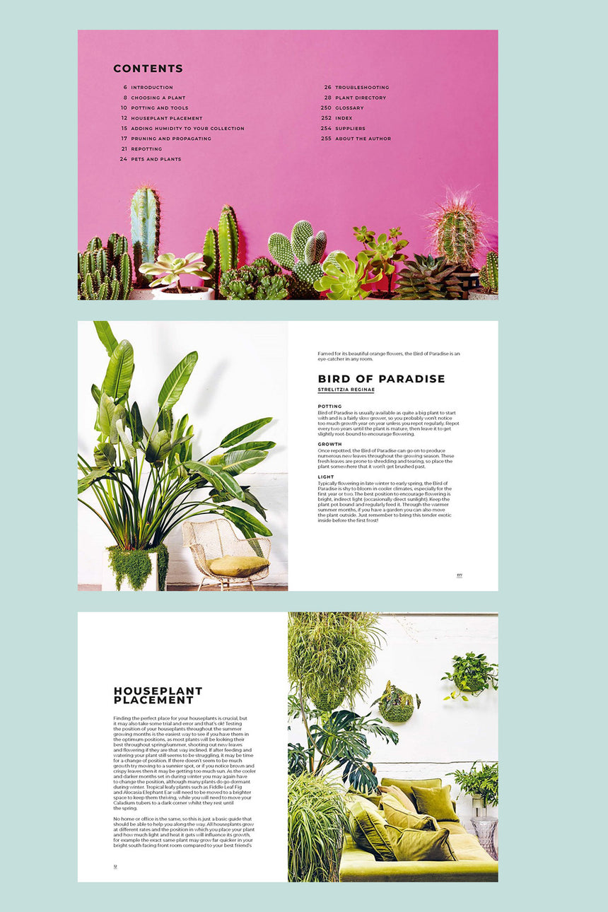 house plants emma sibley The Big Book of House Plants by Emma Sibley – PlantHouse
