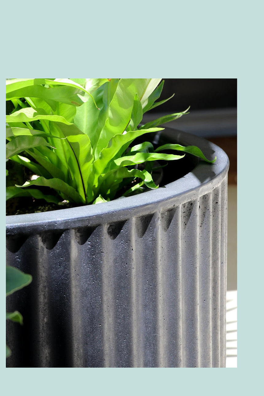 Piako Grecian Cylinder Planter Range - 3 Colours - 3 Sizes
