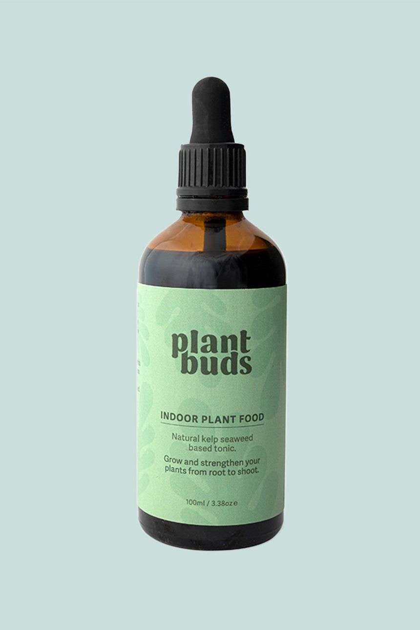 Plant Buds Indoor Plant Food - Natural Kelp Tonic - 100ml