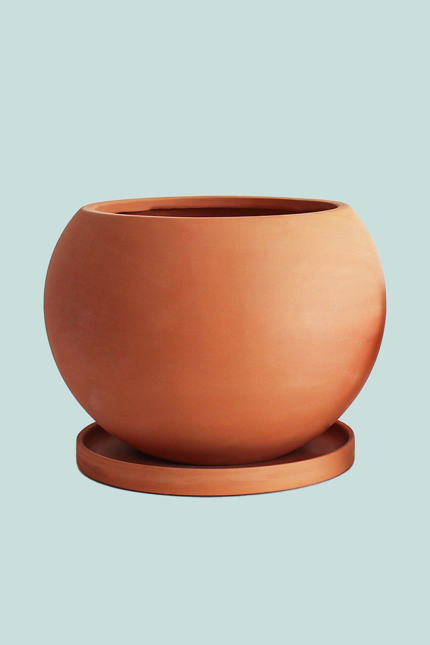 Esfera Terracotta Globe 20cm Pot - Fits Medium Plants