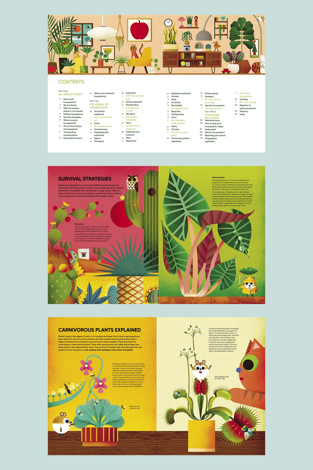a-jungle-in-your-living-room-a-guide-to-creating-your-own-houseplant