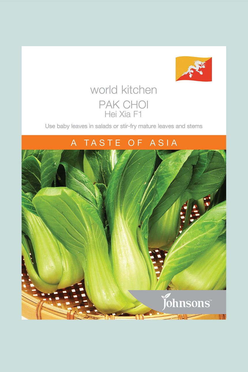 Pak Choi (Bok Choi) - Hei Xia - 150 Seeds