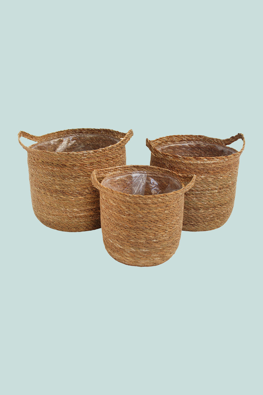 Seagrass Basket Planter Range - 3 Sizes